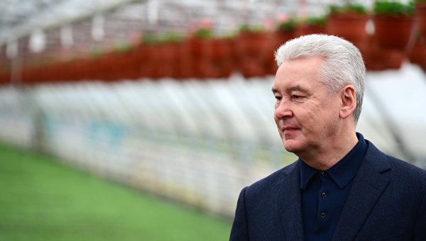 Штаб Собянина собрал более 50 тыс подписей столичных избирателей