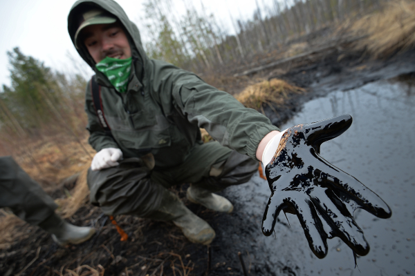 На устранение последствий разлива нефти у «Домодедова» потребуются годы