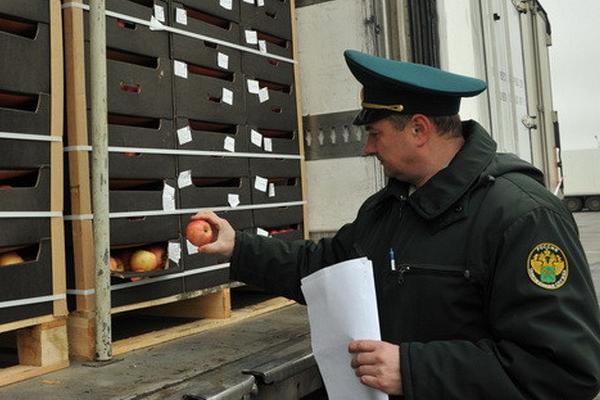 Санкционные яблоки в Подмосковье выдавали за сухое молоко