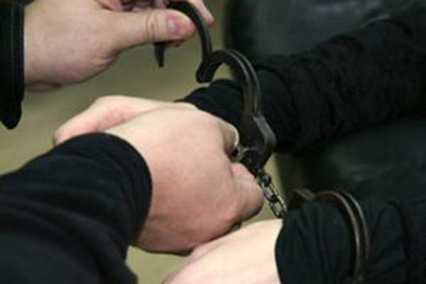 Убийца родителей и бабушки задержан в Москве