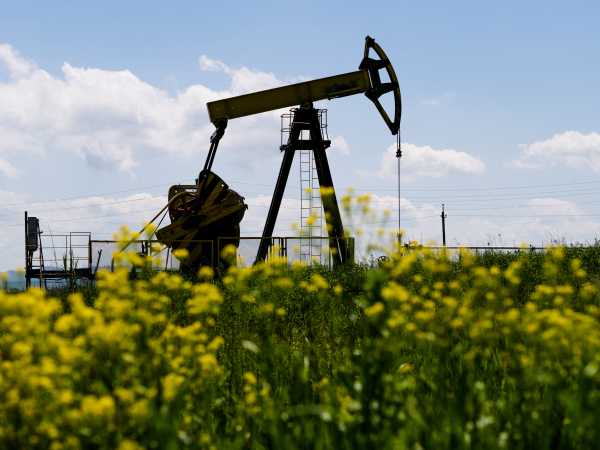 Эксперт: Заявление Сечина о цене на нефть не повлияет на рынок