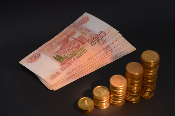Россияне согласны экономить на чиновниках и культуре