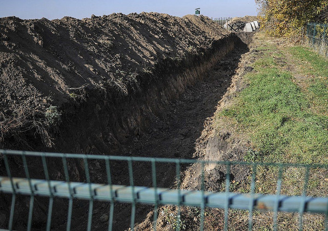 Украинская стена на границе с Россией не стала препятствием для диких кабанов