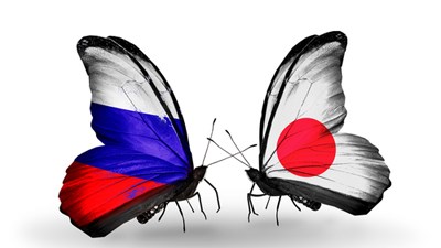 Япония подтвердила готовность сотрудничать с Россией на Южных Курилах