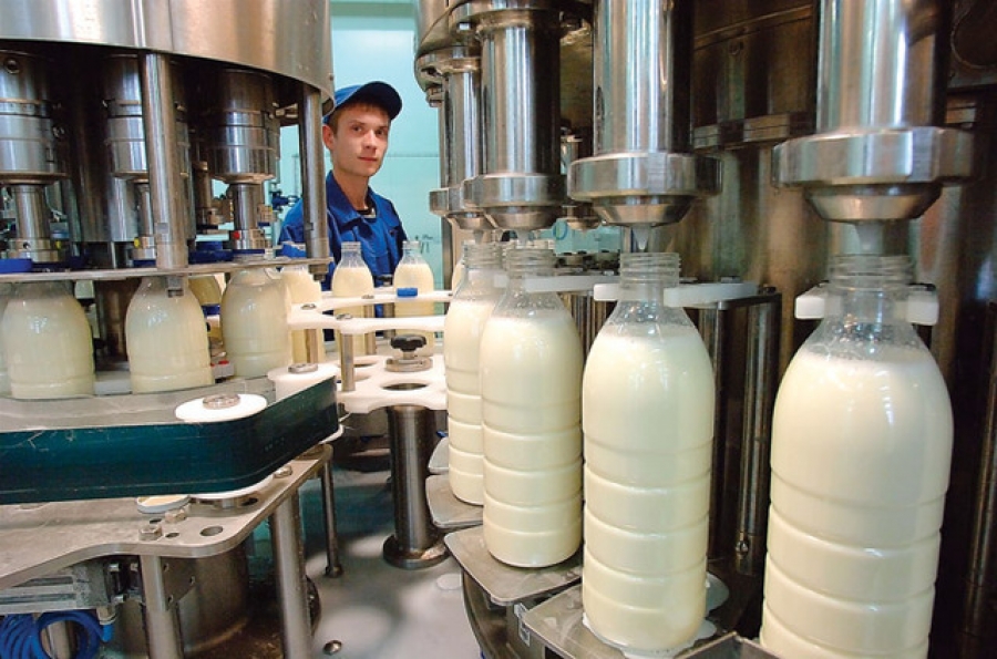 Молочный Союз: Многомиллиардный бизнес так просто не остановить (АУДИО)