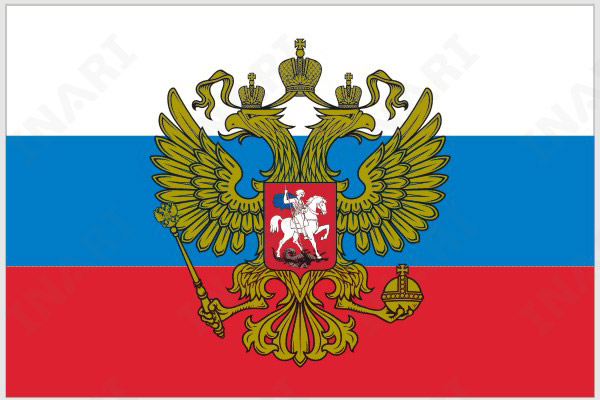 Госдума разрешила неофициальное использование герба