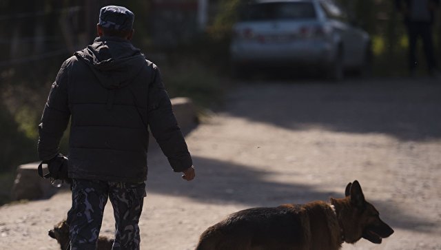 Эксперт: Борьба с наркотиками в Киргизии возможна только «по российскому сценарию»