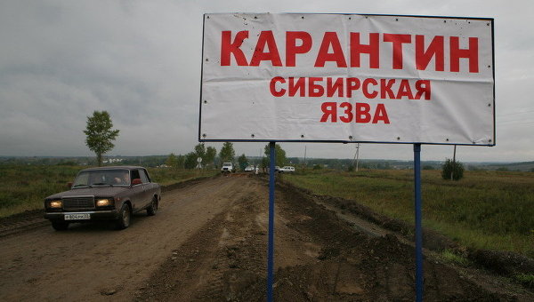 Сибирская язва на Ямале останется навсегда?