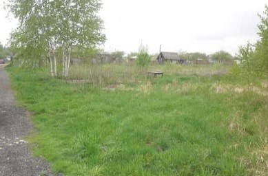 В Новой Москве сдадут в аренду три участка под индивидуальное жилье