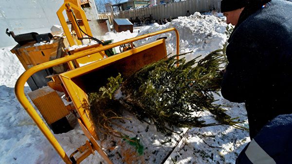 Москвичи активно поддержали акцию «Елочный круговорот»