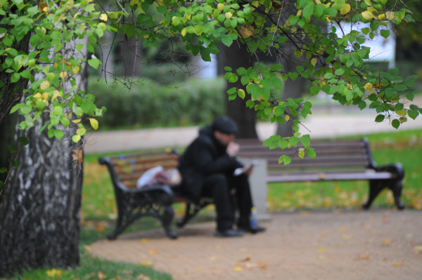 В парках и лесопарках Москвы станет удобнее гулять