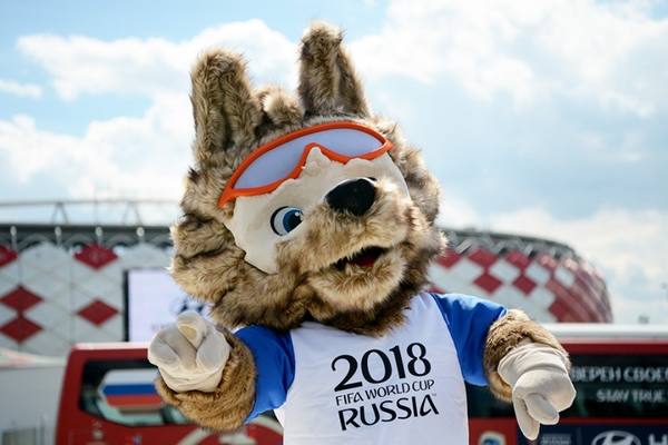 В Совфеде вручили карельским кадетам билеты на ЧМ-2018