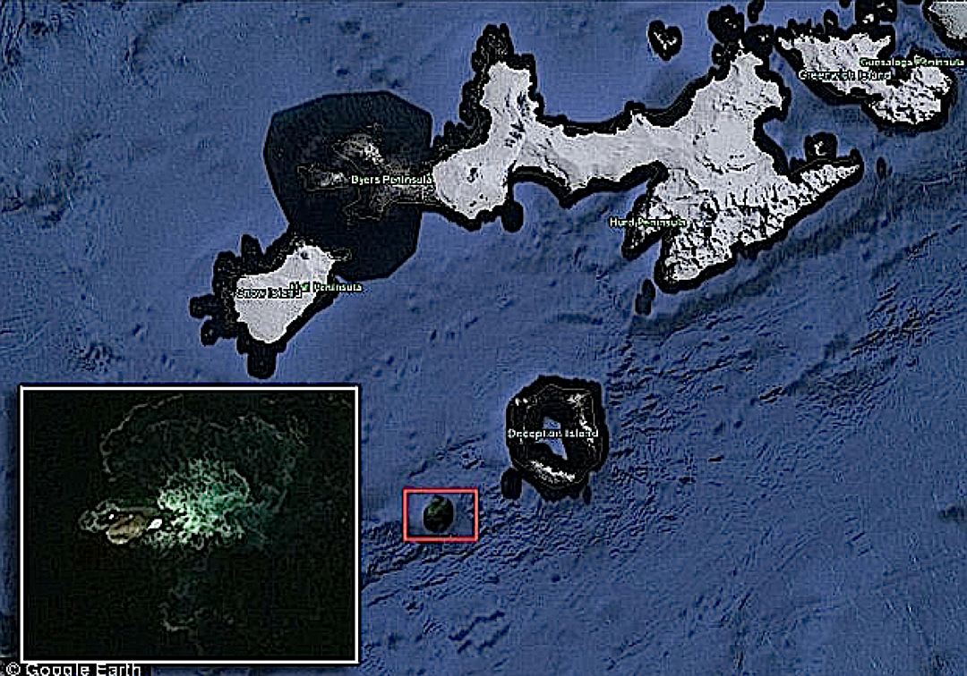 Ихтиолог: Гигантский кальмар в Антарктиде умер бы с голоду