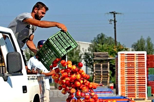 Продукты санкции Продукты санкции