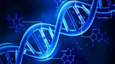 ДНК генетика