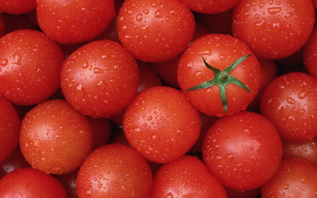 помидор, томат